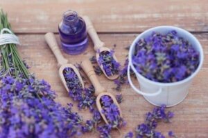 5 وسائل لاستخدام نبات اللافندر كعلاج مهدئ