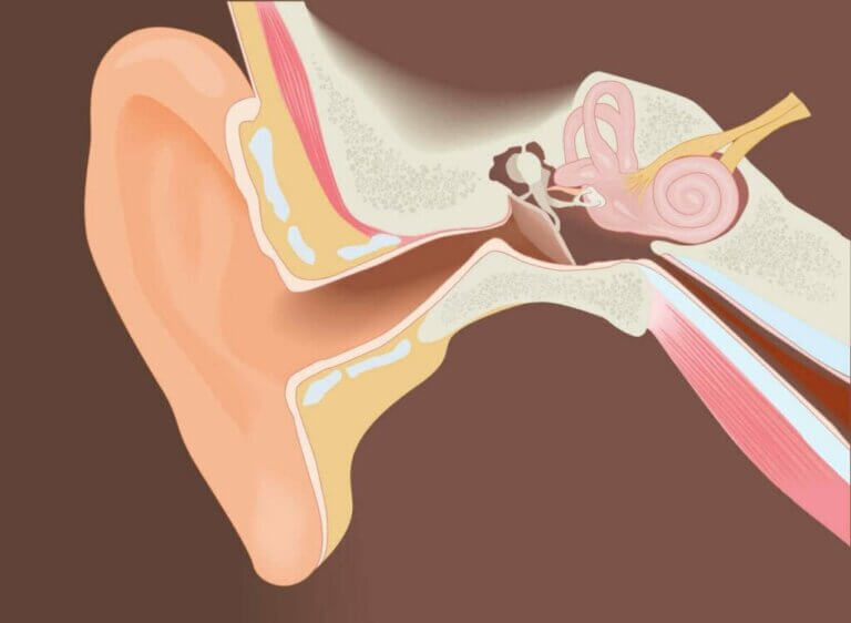 الاستئصال الجراحي للأعران من القناة السمعية الخارجية
