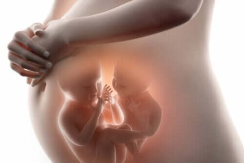 الجنين داخل الجنين - اكتشف كل ما تحتاج إلى معرفته عن هذه الحالة