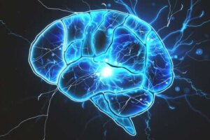 هل توجد بكتيريا في الدماغ؟