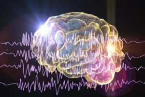 اكتشف معنا أنواع موجات الدماغ المختلفة