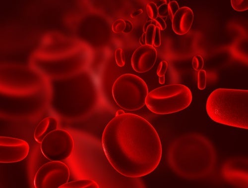 7 علاجات منزلية لتقوية الأوعية الدموية