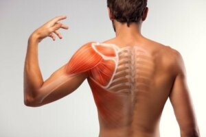 7 حلول منزلية لتقليل تقلصات العضلات