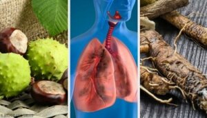 4 علاجات منزلية لتقوية رئتيك
