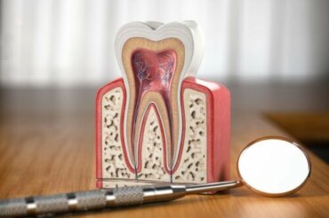 مما يصنع الأسنان؟