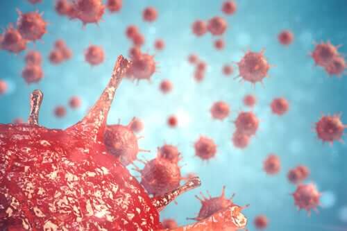 كيف يعالج جهاز المناعة الالتهابات الفيروسية