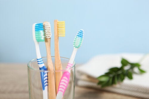 فرش الأسنان المصنوعة من الخيزران مقابل البلاستيكية: مزايا وعيوب كل منهما