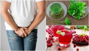 5 علاجات منزلية لعلاج التهاب الإحليل
