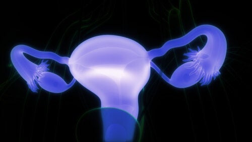 كيسات المبيض الجلدانية: الأعراض ومتى يجب زيارة الطبيب