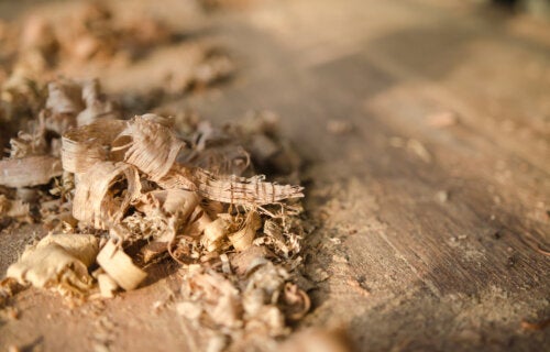 8 استخدامات عملية لنشارة الخشب في المنزل