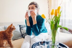 15 نباتات منزلية تزيد من الحساسية